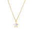Necklace With Mother of Pearl Star on Gold